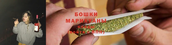 шишки Вяземский