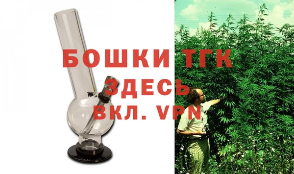 шишки Вяземский