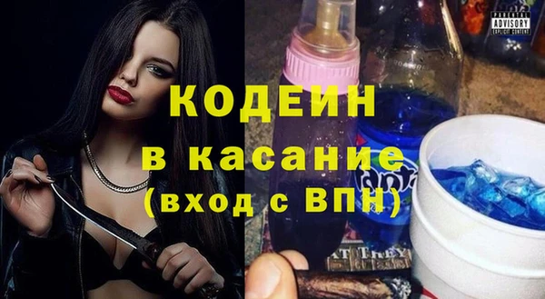шишки Вяземский
