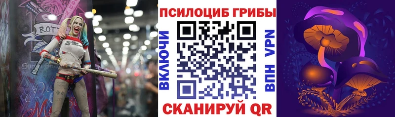 Псилоцибиновые грибы Psilocybe Можайск