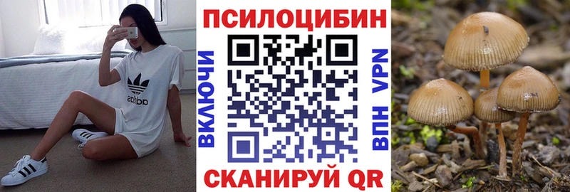 где найти   МЕГА зеркало  Галлюциногенные грибы Cubensis  Можайск 