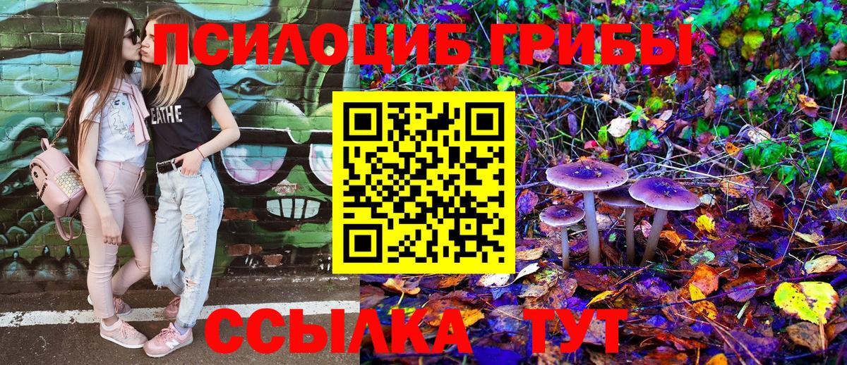 купить  сайты  Псилоцибиновые грибы Psilocybine cubensis  Вход с VPN  Псилоцибиновые грибы мицелий  Можайск 